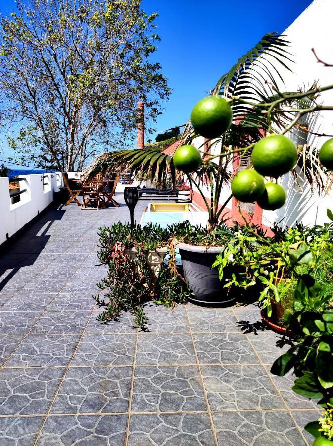Mateus House - Porto Da Cruz Center Villa Eksteriør billede